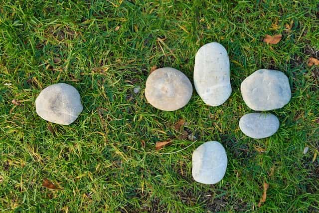 cómo poner piedras decorativas en el jardín